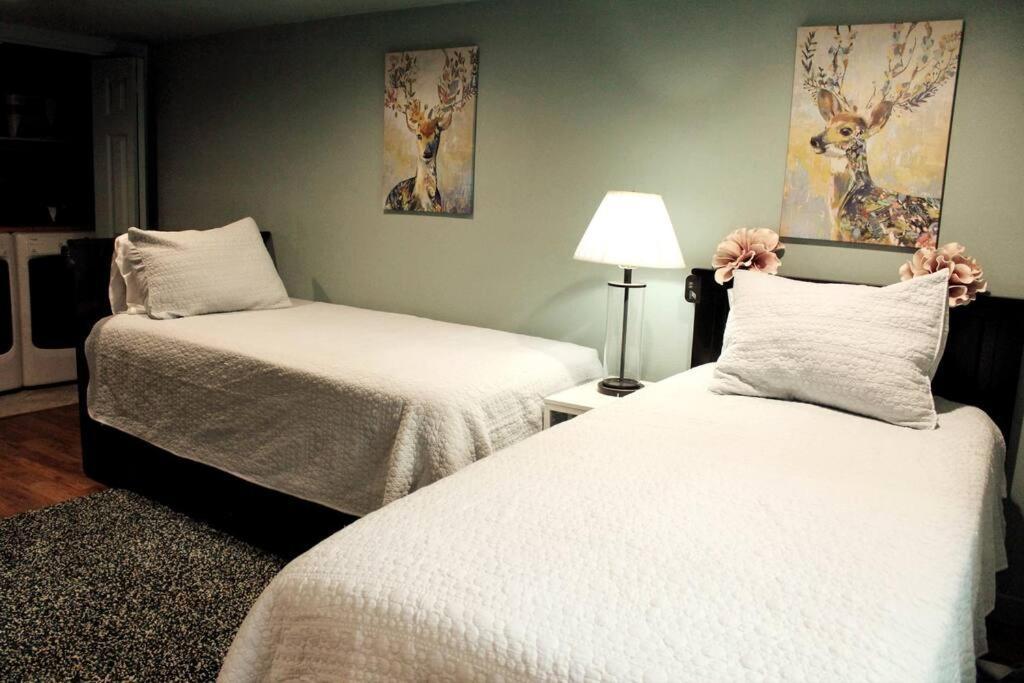 Heart Of Woodstock, 10 Min Walk To Reed, With Private Garage! Apartamento Portland Exterior foto